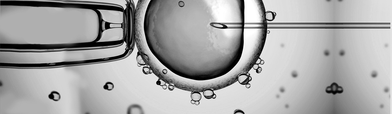 drkmh-ivf-treatment.jpg
